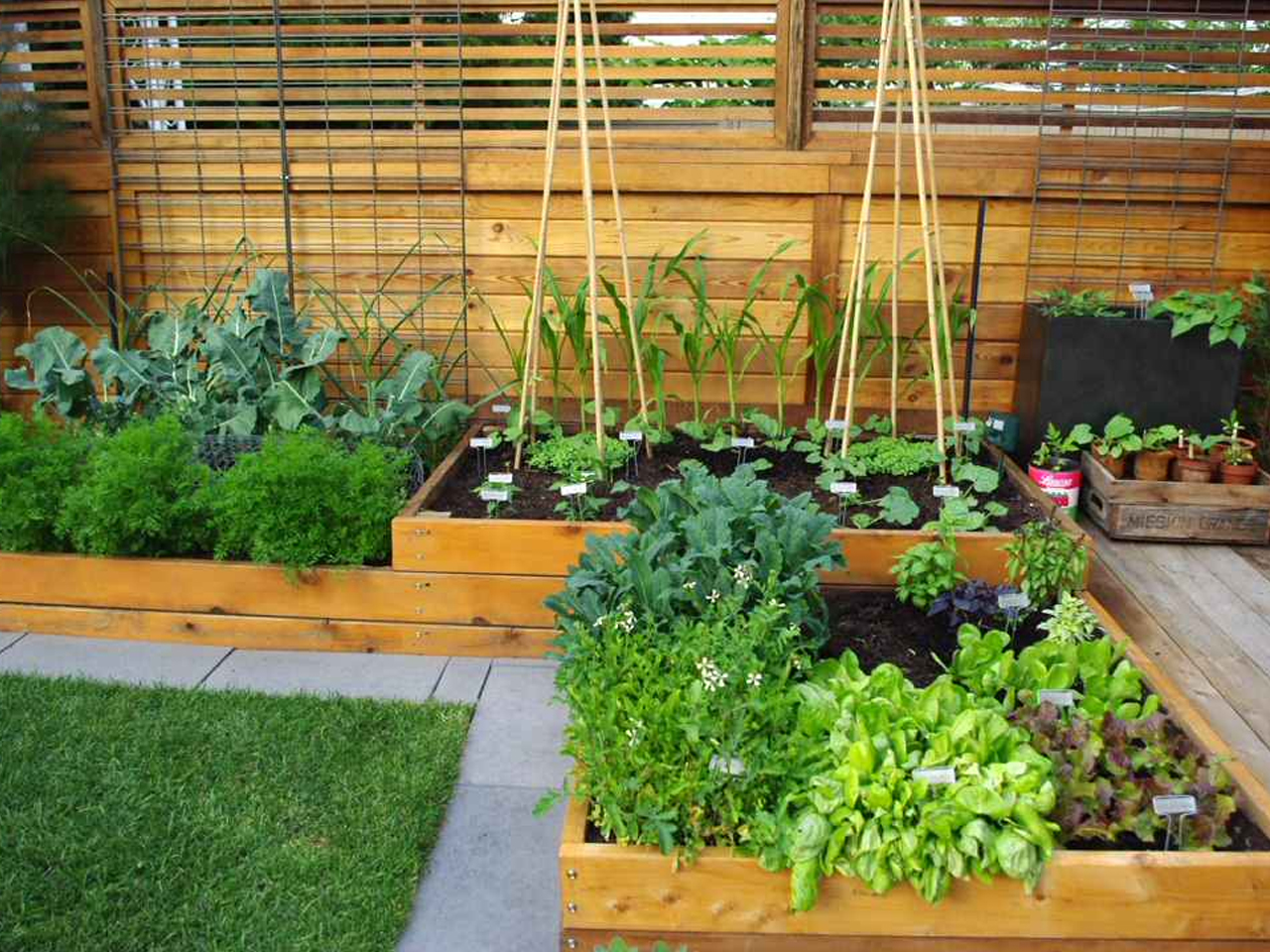 Top Avenue Plant Dealers In Chennai