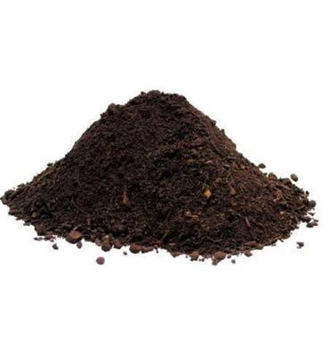 Vegetable Seeds | Seed Kits | Chennai Plant Nursery